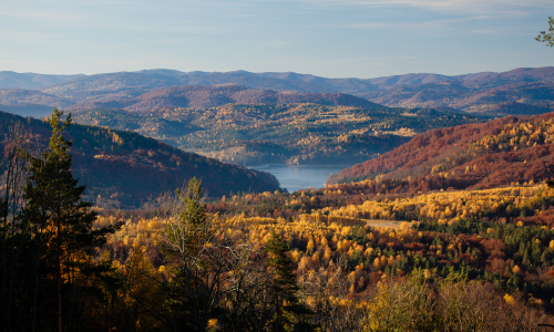 Der Naturlehrpfad Durch Żuków bis zu der Region Lipecka